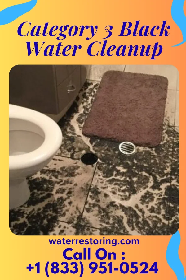 Category 3 Black Water Cleanup in Franklin, NC