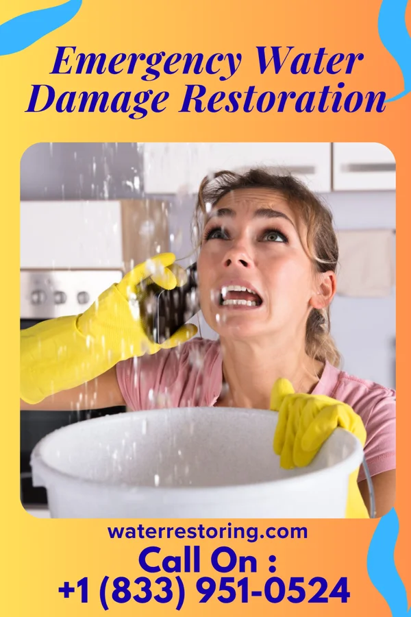 Emergency Water Damage Restoration in Franklin, NC