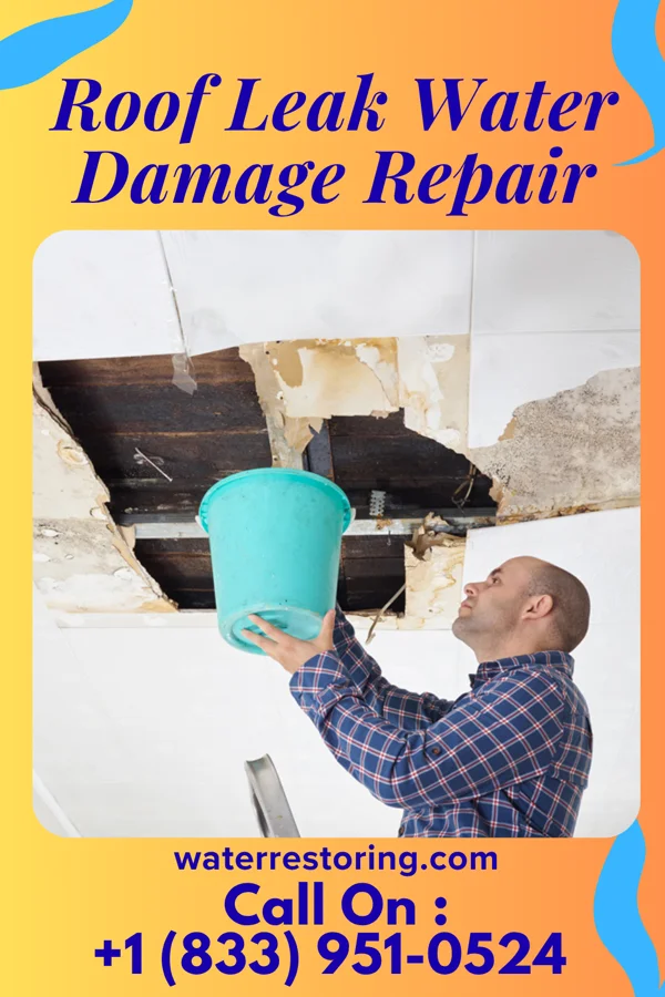 Roof Leak Water Damage Repair in Franklin, NC