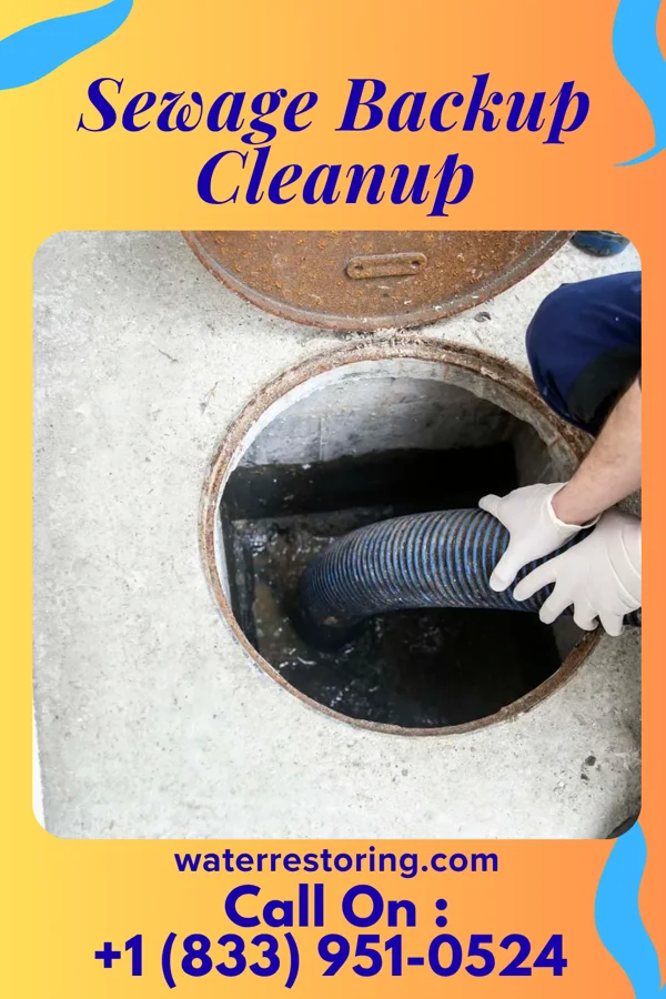Sewage Backup Cleanup in Franklin, NC